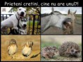 /album/galerie-foto/a10536-554494637922373-2007625408-n-jpg/